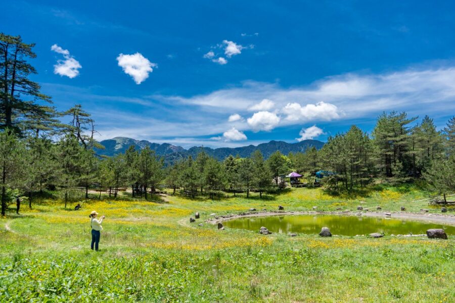 福壽山農場 怎麼玩