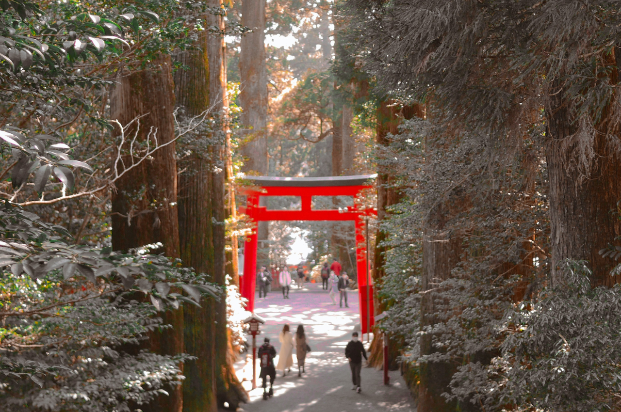 箱根神社
