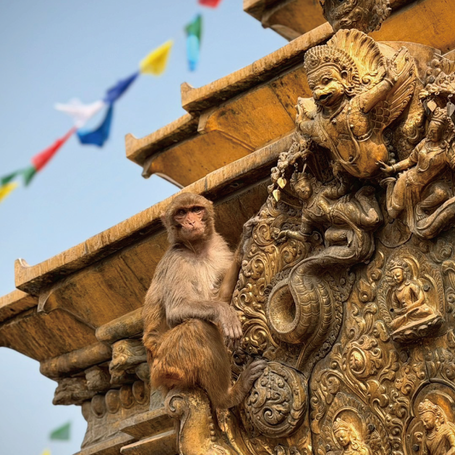 nepal-10