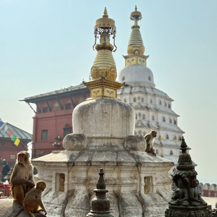 nepal-11