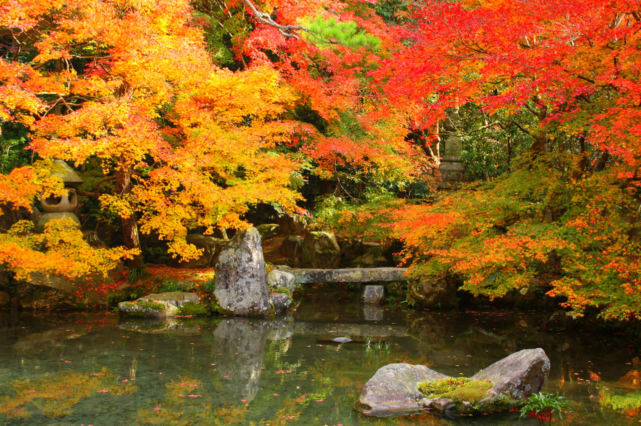 京都散策