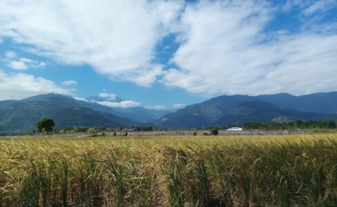 台東 特色 餐廳 