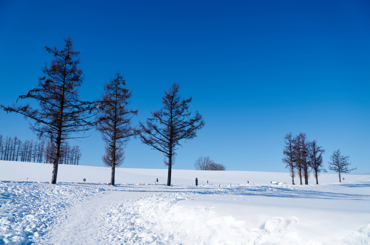 北海道 深度 旅遊