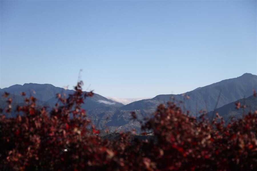 梨山 景點
