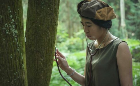 薰衣草 森林