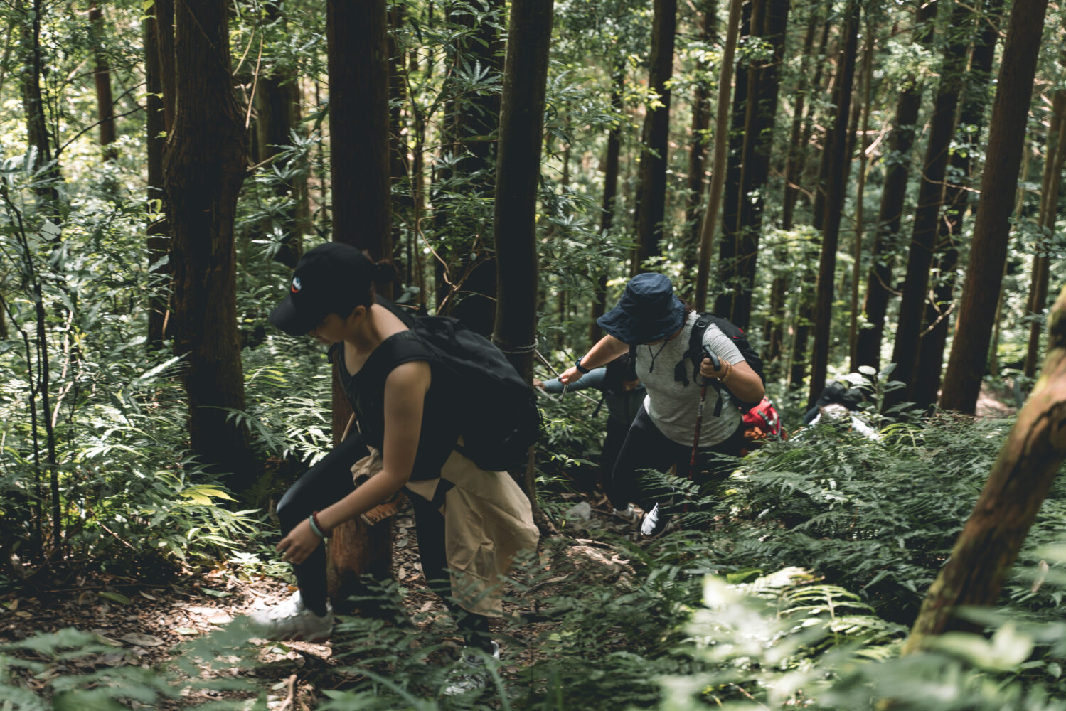 登山 新手