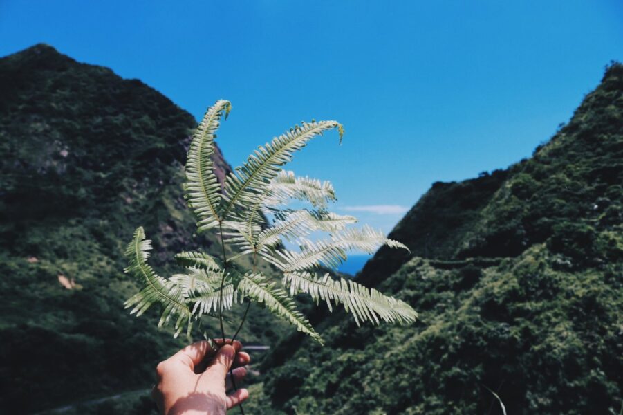 減法 旅行